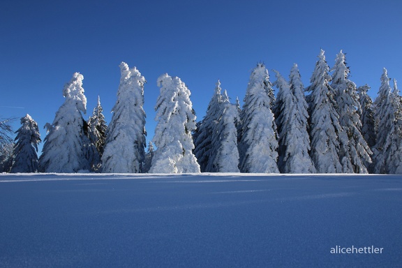 Schauinsland